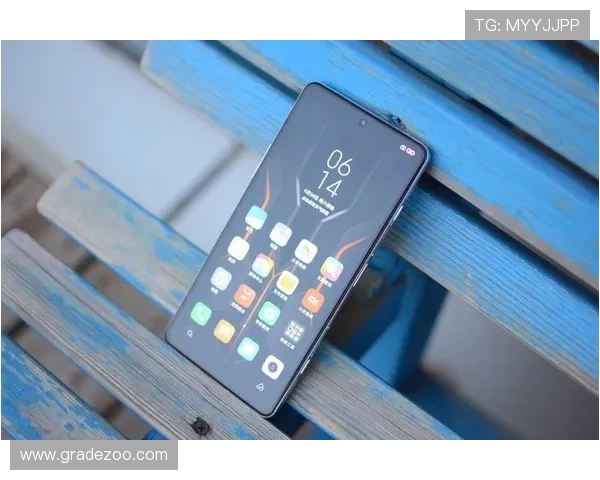 在png电子游戏中心官网尽情畅玩各种热门电子游戏享受极致娱乐快感