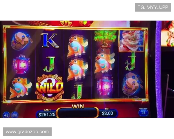 最新老虎机现金优惠信息一手掌握