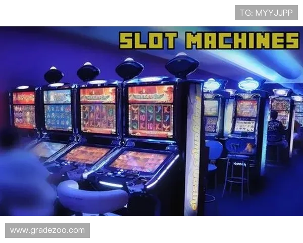 真人版老虎机游戏怎么玩，详细攻略让你轻松掌握技巧轻松赢取丰厚奖金