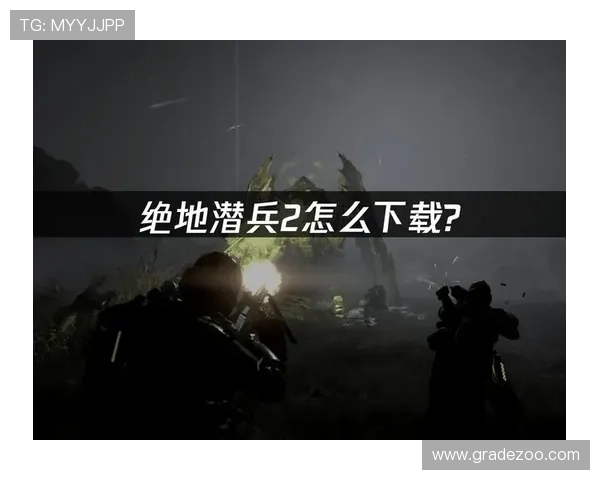 PA电游常见问题与解决方案,帮助玩家排除游戏中遇到的各种难题