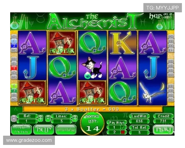 老虎机游戏玩法详解,带你了解每一个精彩的游戏环节