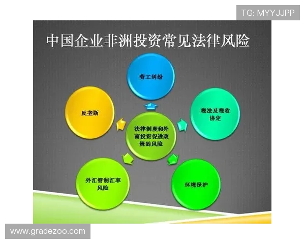 南非vs韩国比赛冠军竞猜规则全攻略，助力用户科学分析赛事投注策略